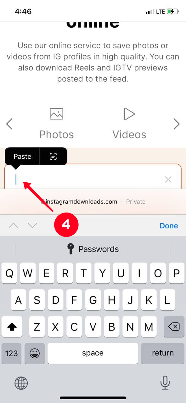 Pasting copied Instagram profile URL in the search bar in the InstagramDownloads site