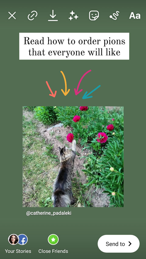 Instagram-Post im Stories-Posting-Menü