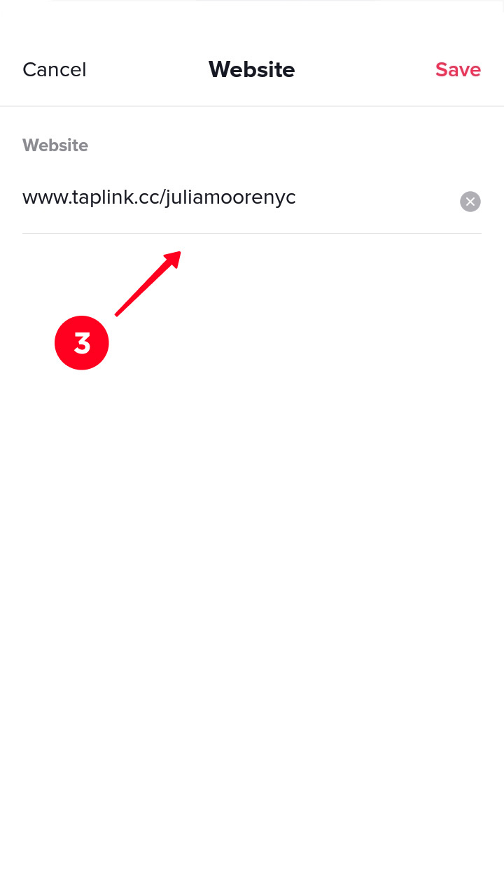 Aggiunta di un URL nel campo del link nelle impostazioni del sito web