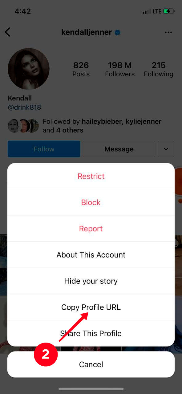 Choosing Copy Profile URL in the Instagram profile menu