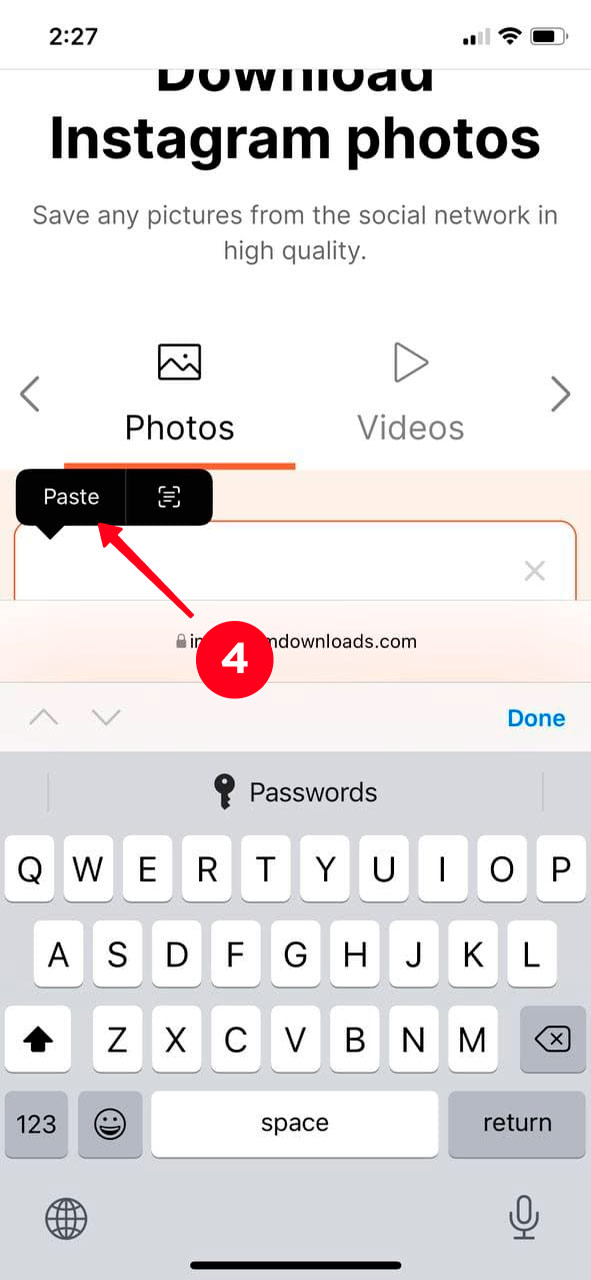 Pasting a profile link in the search field on the Instagram Downloader website