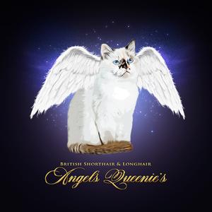 angelsqueenies