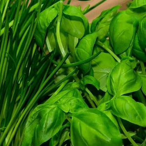 Ekaterina_naturally at Taplink