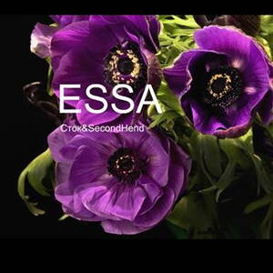 essa_outlet_