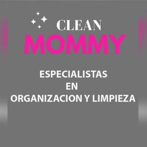 cleanmommy
