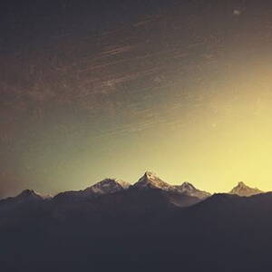 Lotus Rap At Taplink