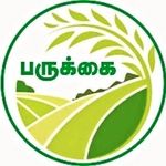 parukkaiiyarkaiangadi
