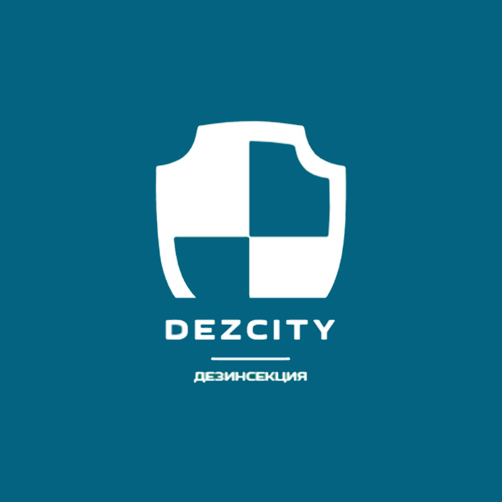 dezcity_ykt.ru