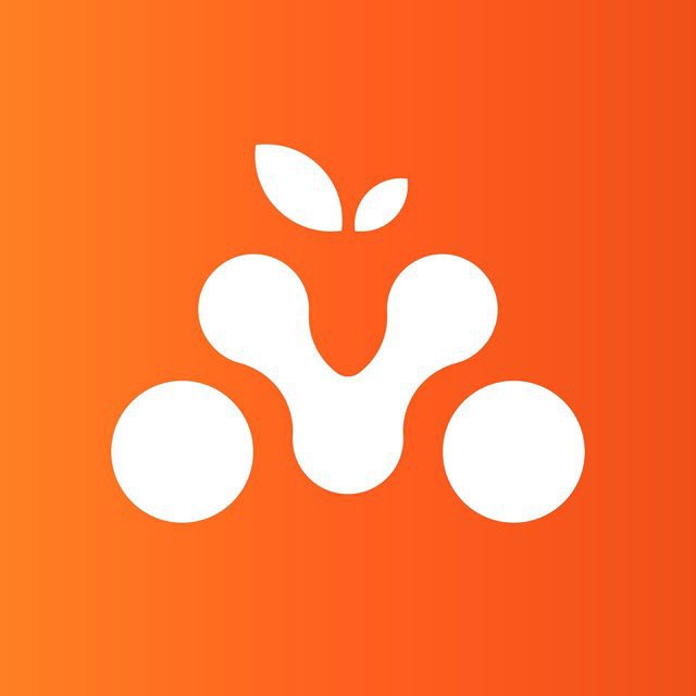mandarintour