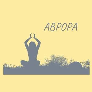 Аврора Студия Донецк