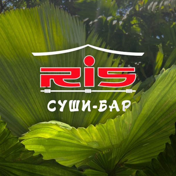 ris_nalchik