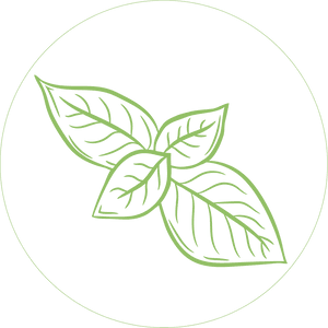 Туласи клуб