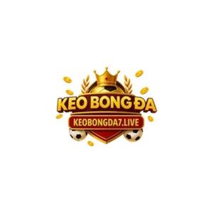 Tỷ lệ kèo nhà cái hôm nay Bí quyết soi kèo thắng lớn từ chuyên gia