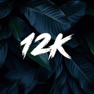 12k_geo at Taplink