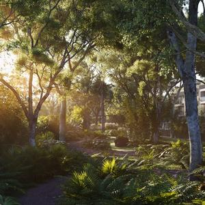 arvindforesttrails