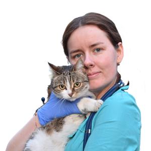 платежные системы с поддержкой криптовалют