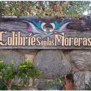 colibriesenlasmoreras