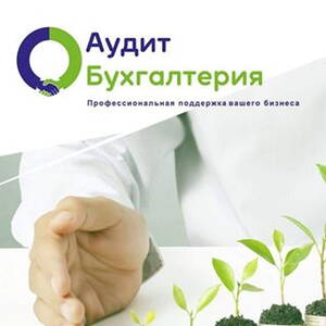 audit_buh