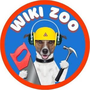 wiki_groomer