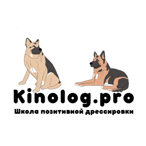 5 вопросов кинологу перед тем, как завести собаку | Petshop Journal | Дзен