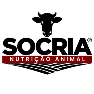 socria