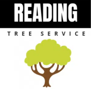 readingts