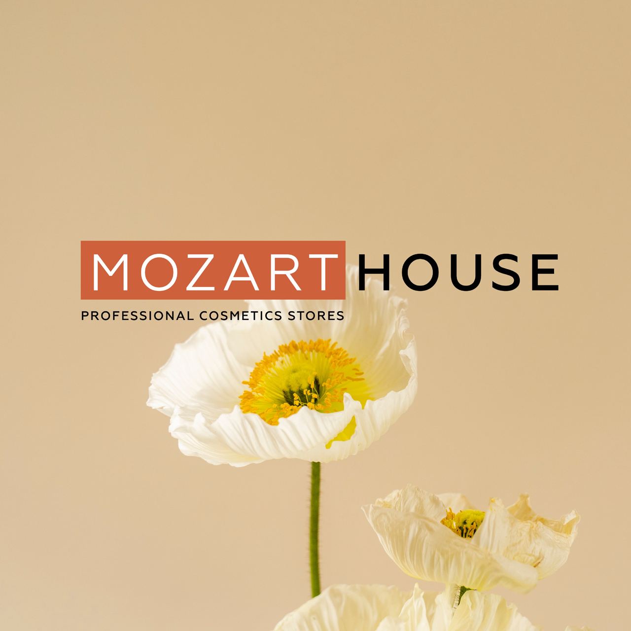mozartshop