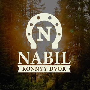 kd_nabil_