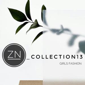 zn_collection13