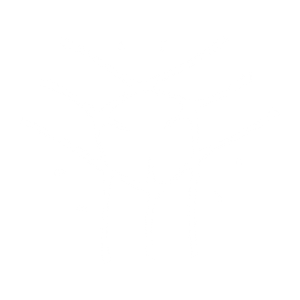 studio_prostoe