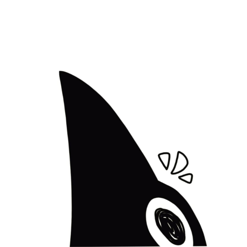 magpies.oddities