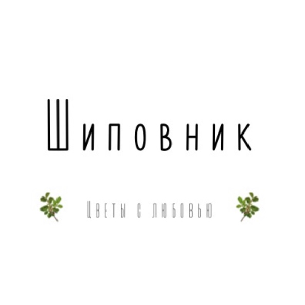 shipovnik