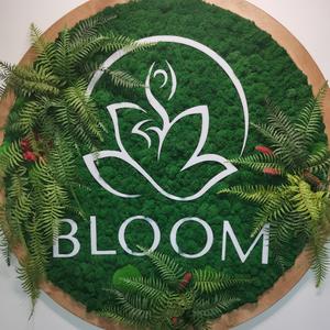 bloom_nhk