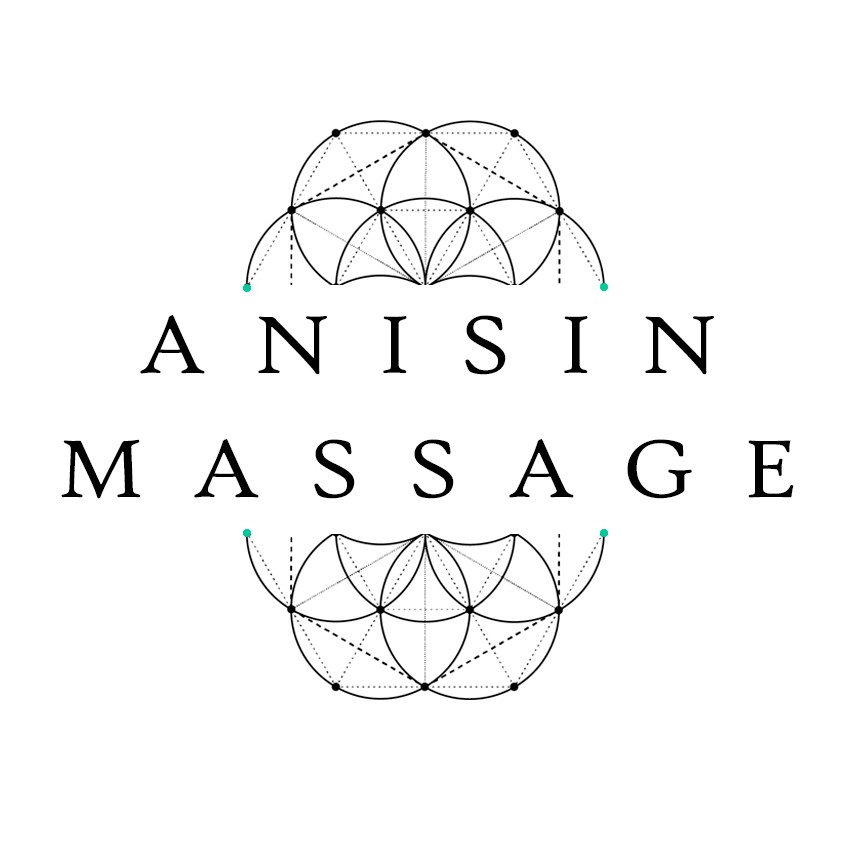 anisin_massage