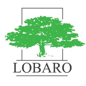 lobaro.ru