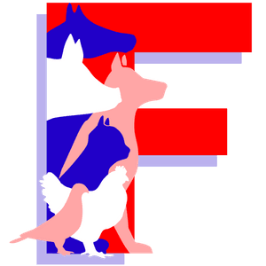 Fei at Taplink
