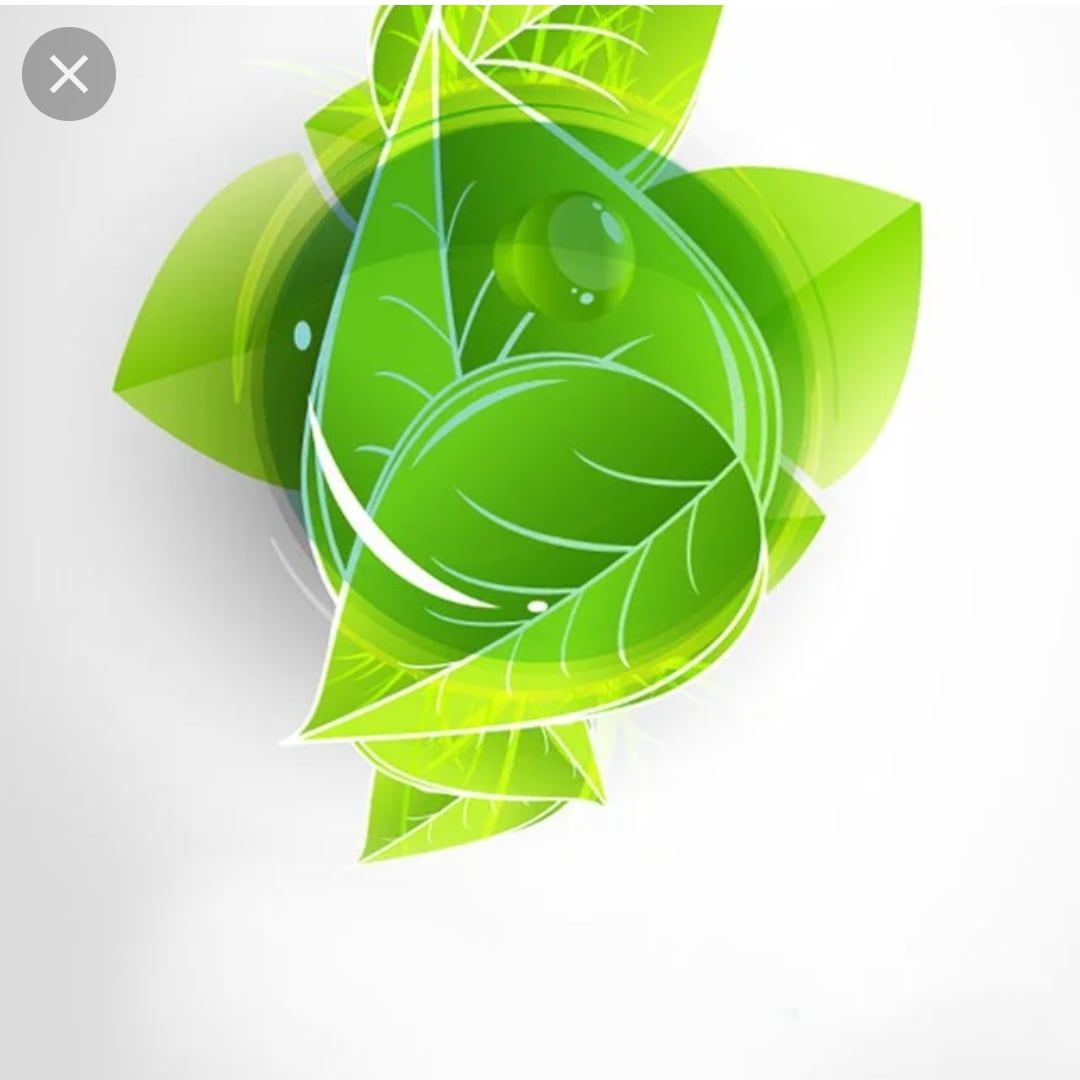 4x 8 4 6 Answer Solution