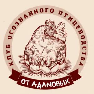 annaadamovaclub.ru
