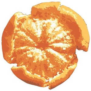 townhouse_mandarin