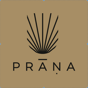 prana_vedic_centr