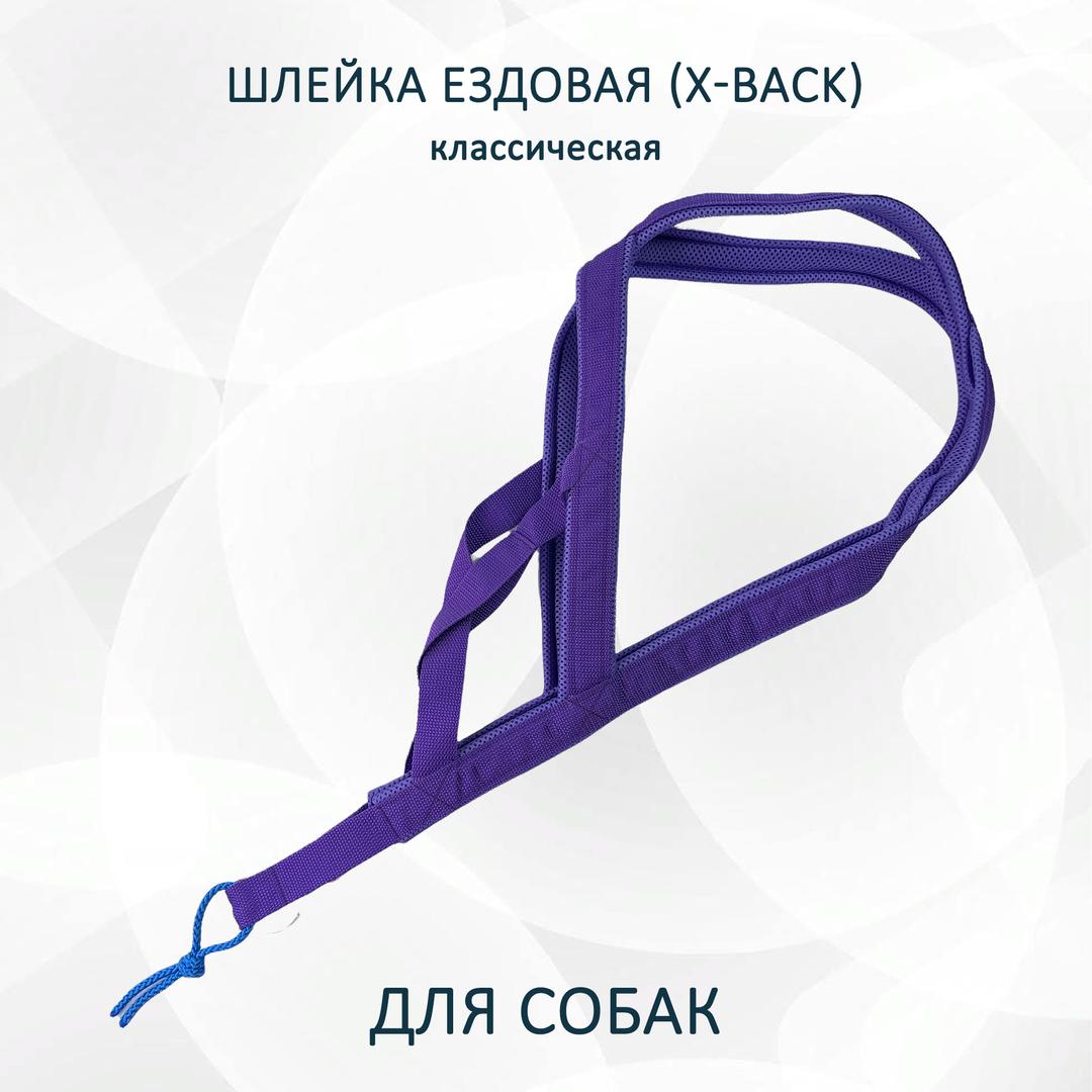 Шлейка ездовая для собак X-Back, классическая "Фиолетовая"