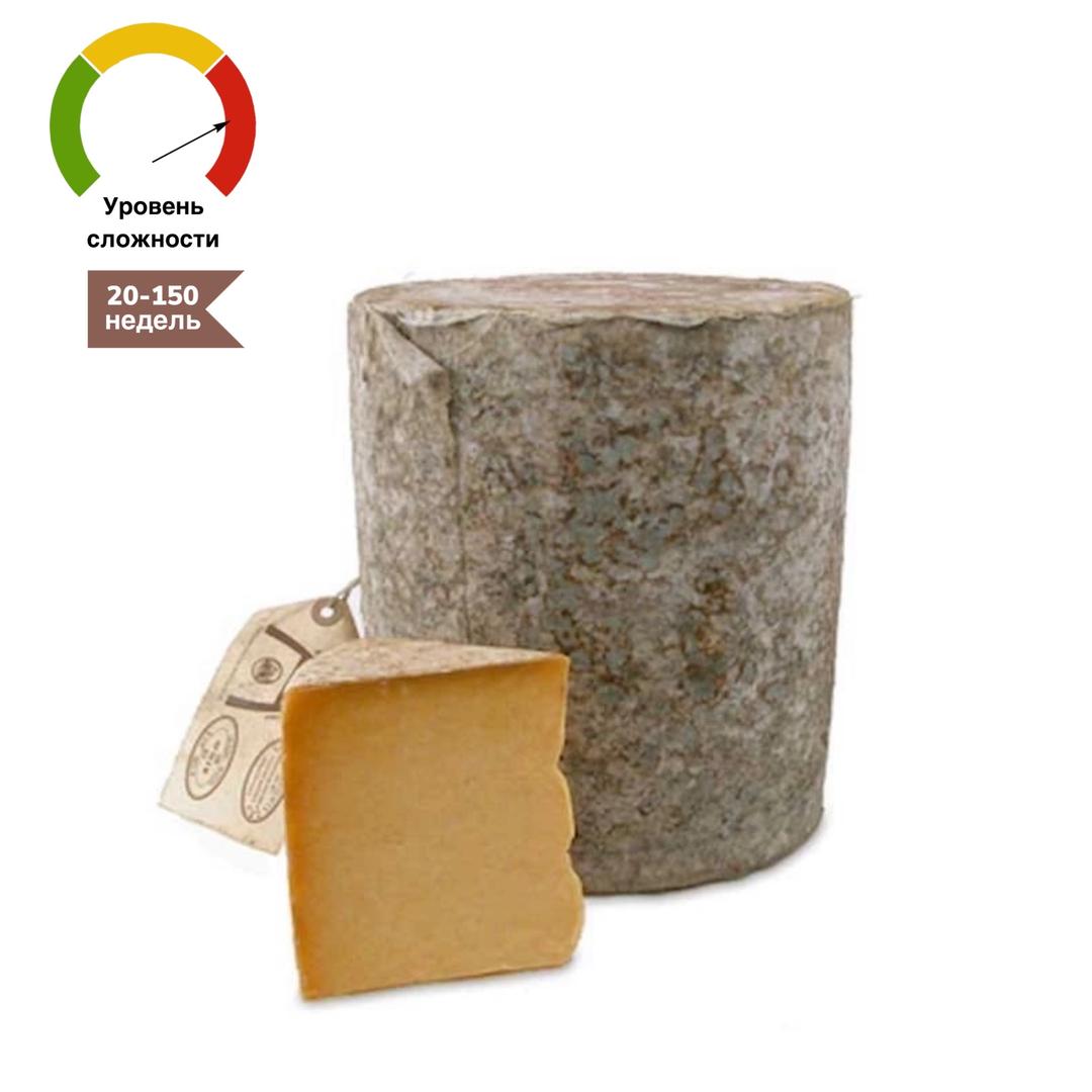 sim-cheese.ru