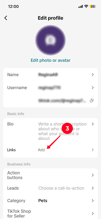 Tapping on the Links field in the profile settings in TikTok