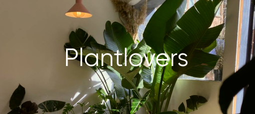 Plantlovers