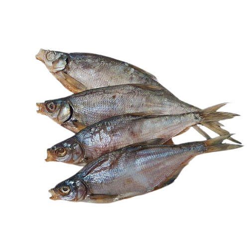 🐟 Сопа вяленая