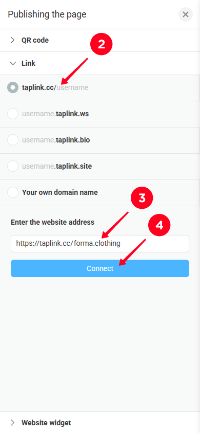 Selecting a domain, entering the clothing website address, and tapping Connect