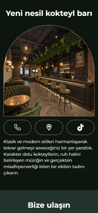 Barın bio link sayfası örneğinin alt kısmı