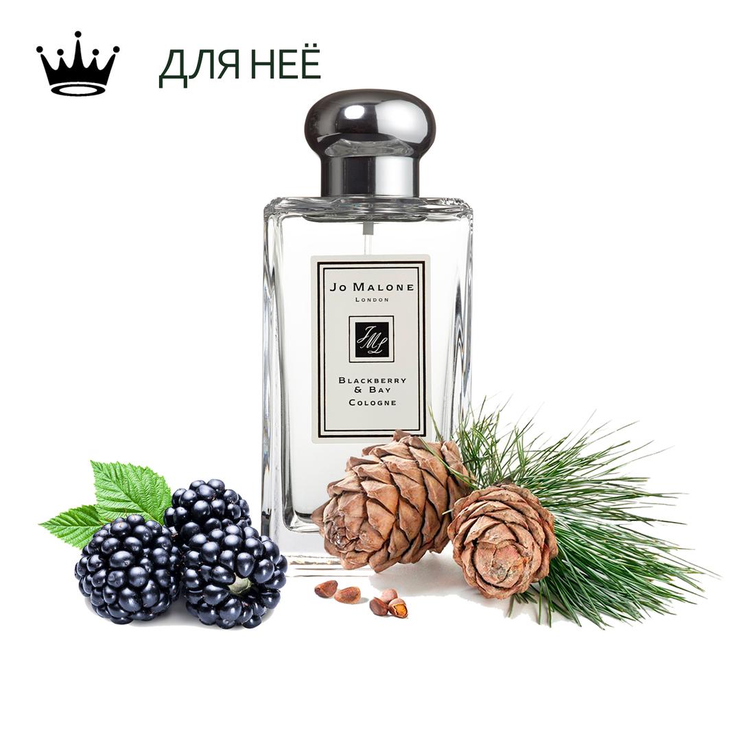 Blackberry bay отзывы. BLACKBERRY & Bay Jo Malone London. Jo Malone BLACKBERRY Bay Ноты. Jo Malone London гель для душа BLACKBERRY & Bay body & hand Wash 100 мл.