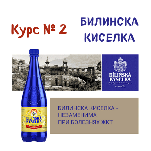 Минеральная Вода Билинска Киселка Купить