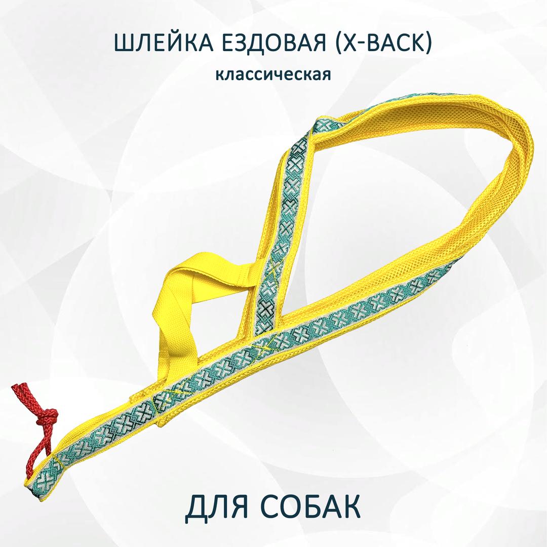 Шлейка ездовая для собак X-Back, классическая "Изумрудный дракон"